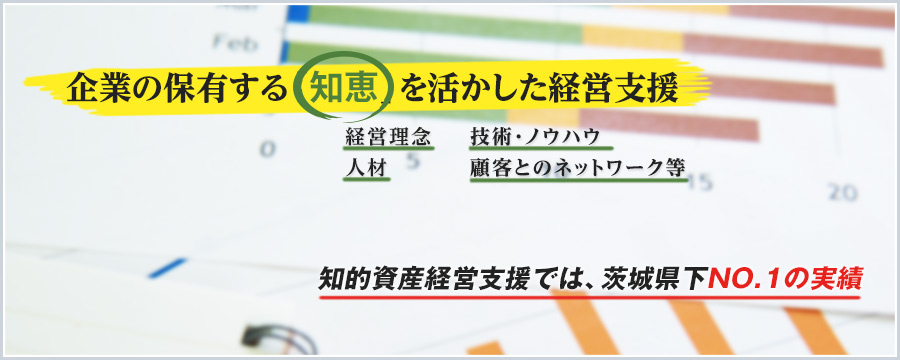 知的資産経営支援では、茨城県下NO.1の実績